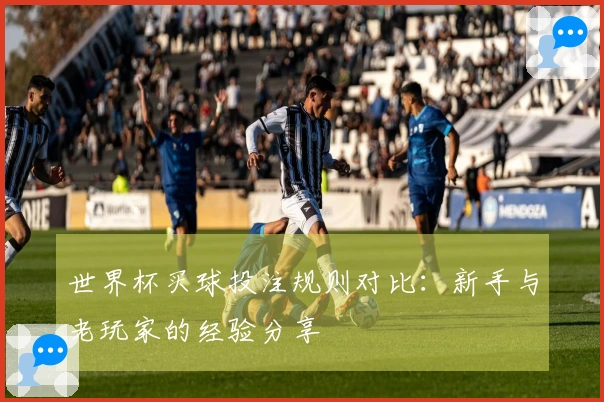 世界杯买球投注规则对比：新手与老玩家的经验分享
