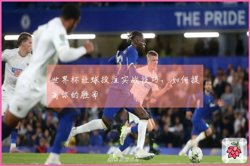 世界杯让球投注实战技巧，如何提高你的胜率