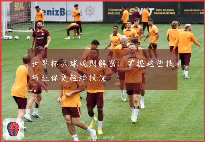 世界杯买球规则解密：掌握这些技巧让你更轻松投注