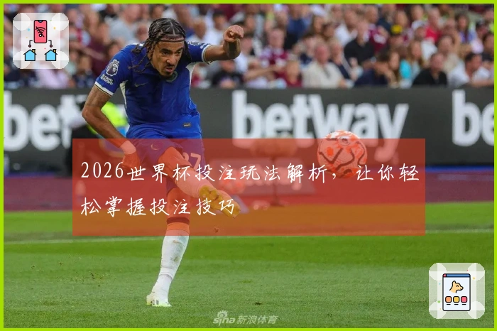 2026世界杯投注玩法解析，让你轻松掌握投注技巧