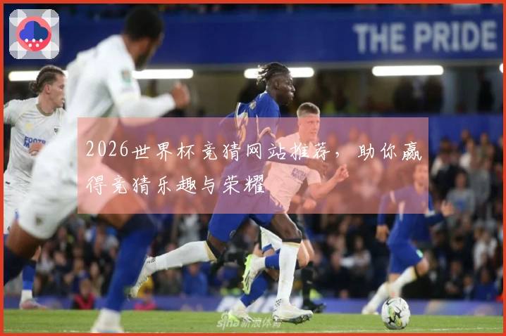2026世界杯竞猜网站推荐，助你赢得竞猜乐趣与荣耀